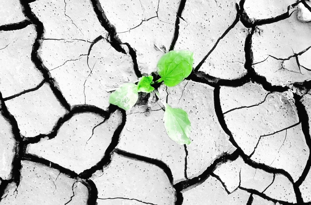 Enhanced Resilience With Availability Zones in Cleura Compliant Cloud